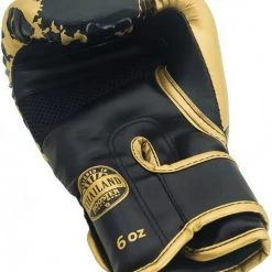 Booster Fight Gear Gants De Boxe Booster (kick) Junior Marble Black Gold 8oz Noir Vert -Booster fight gear Soldes Boutique 1011x1200