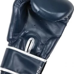 Booster Fight Gear Booster Fightgear (kick) Gants De Boxe BT Starter Bleu 14oz