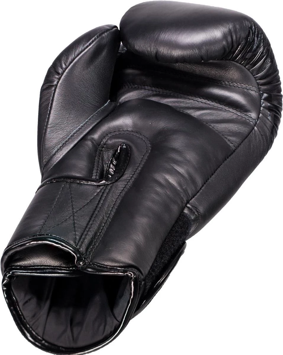 Booster Fight Gear (kick) Gants De Boxe Foil V3 Black 16oz 5 Booster Fight Gear (kick) Gants De Boxe Foil V3 Black 16oz – Image 3